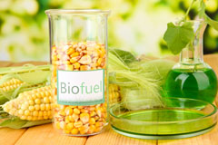 Charles Tye biofuel availability